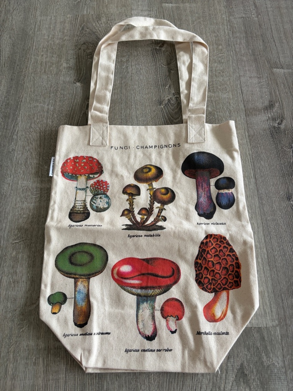 Cavallini & Co. Fungi Tote Bag